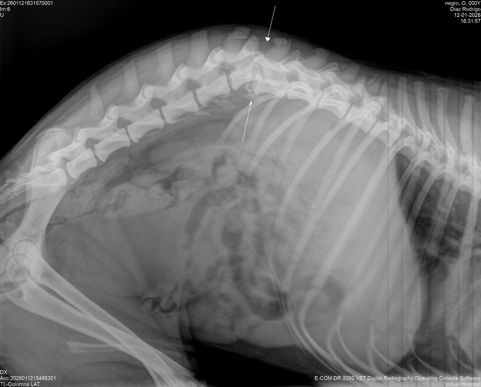 Falleció Floqui: Lo durmieron porque su cuadro era irreversible